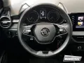 Skoda Fabia 1.0 TSI Ambition Navi LED GRA SZH  PDC 16