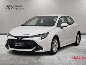 Toyota Corolla Corolla 1.8h Active auto