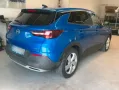 Opel ANDERE Grandland Innovation/Garantie