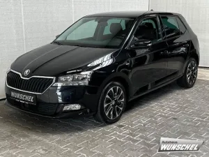 Skoda Fabia 1.0 TSI DRIVE 125 ACC PDC Climatr. SMART