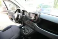 Fiat FIAT Panda 1.0 FireFly S&S Hybrid Icon