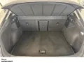 Cupra Formentor TSI DSG NAVI SITZHEIZUNG EINPARKHILFE 