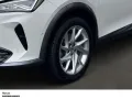 Cupra Formentor TSI DSG NAVI SITZHEIZUNG EINPARKHILFE 