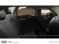 Audi A6 Avant TDI quattro 150 kW Matrix LED AHK Tech 