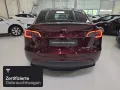 Tesla Model Y Performance