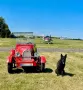 Volkswagen Bugatti Replika B35 VW Käfer Replica Tausc...