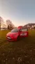 Fiat 500 Hybrid Torino - HOLY LOVEBIRD