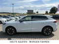 Cupra Terramar 1.5eTSI DSG LED ACC PDC SHZ 360° KAMERA