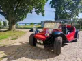 Volkswagen VW Buggy Pesto