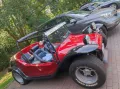 Volkswagen VW Buggy Pesto