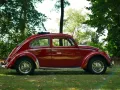 Volkswagen Käfer