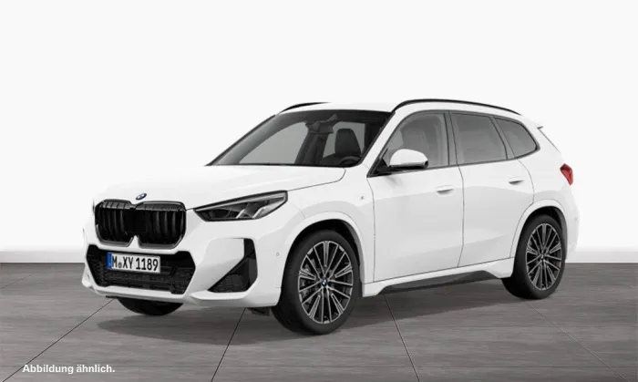 BMW X1 sDrive20i M Sport/ HK-HiFi/ Driv.Ass.Plus