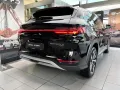 BYD SEAL U DM-i Boost Tageszulassung