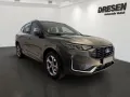 Ford Kuga ST-Line X PHEV *WINTER-PAKET*ALLWETTER*360°