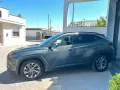 Other Hyundai Tucson 1.6 CRDI 136 Cv 48V XLINE - 2022