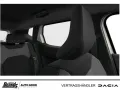 Dacia Duster Journey Eco-G SHZ Navi Rückfahrkamera