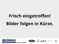 Ford Puma 1.0l Titanium *SHZ Navigationssystem*      