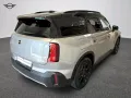 MINI Classic Trim