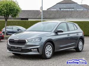 Skoda Fabia Selection 1.0 DSG APP/Alu/Cam/PDC Navi LED