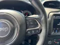 Jeep Renegade 1.0 T3 Limited 2019/ KM 55.000 Tua