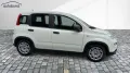 Fiat 1,0 Hybrid (MHEV) Base DAB PDC