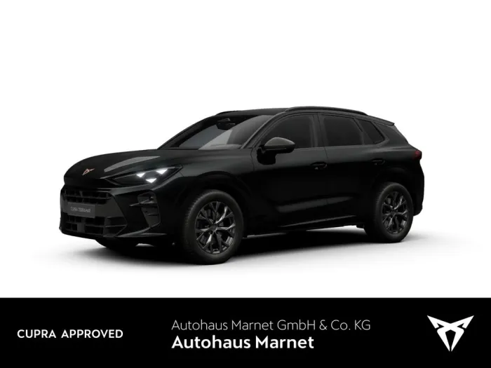 Cupra Terramar 2.0 TSI 4Drive *Navi*Matrix*Kamera*El.H