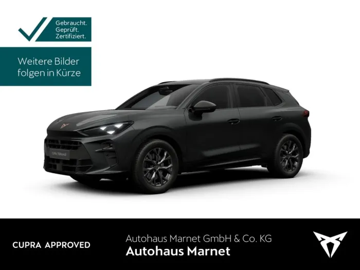 Cupra Terramar 2.0 TSI 4Drive *Navi*Matrix*Kamera*El.H