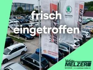 Cupra Leon SP 1.5 eTSI DSG AHK+ACC+SHZ+PDC+5J GARANTIE