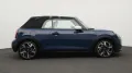 MINI Favoured Trim