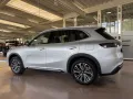 Geely Starray EM-i MAX+PHEV 29,8kWh 136KM Voll