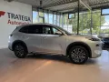 Geely Starray EM-i MAX+PHEV 29,8kWh 136KM Voll