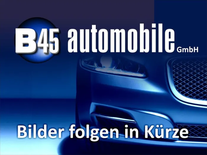 Mercedes-Benz Citan 110 CDI Kasten BASE Standard MBUX NAVI KLI