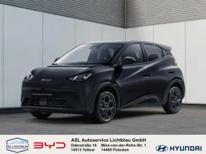 BYD DOLPHIN SURF Comfort 115 kW (1 DOLPHIN SURF Comf