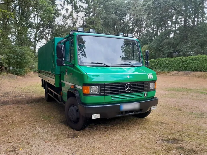 Mercedes-Benz Mercedes T2 611D Vario Polizei Düdo Mautfr...