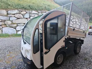 Other Goupil G3 Bj2016