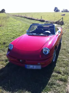 Alfa Romeo Spider 2.0 Model 115