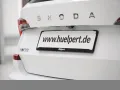 Skoda Kamiq BALANCE DSG AHK MATRIXLED eKLAPPE KEYLESS