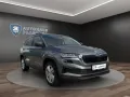Skoda Karoq Selection 1.5 TSI Klima Einparkhilfe