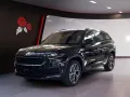 Skoda Kodiaq 2,0 TDI DSG Sportline 4x4 NAVI LED