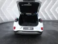 Ford Puma Titanium - Winter-Paket - Carplay