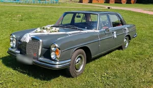 Mercedes-Benz Mercedes 250S W108