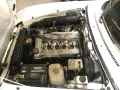 Alfa Romeo Spider 1600 / H-Kennzeichen