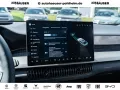 BYD Dolphin G DM-i Comfort SOFORT PANO HUD 360°KAMER