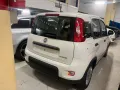 Fiat Panda 1.0 FireFly S&S Hybrid Icon