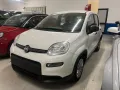Fiat Panda 1.0 FireFly S&S Hybrid Icon