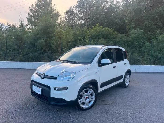 Fiat Panda 1.0 FireFly S&S Hybrid