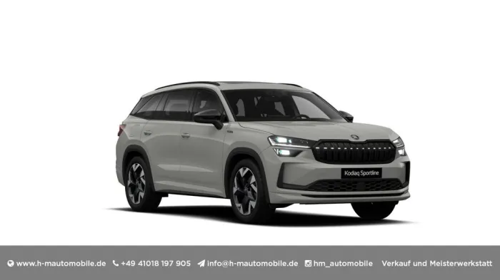 Skoda Kodiaq Plugin Sportline-Pano/AHK/Canton/RFK/ACC