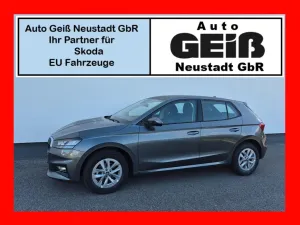 Skoda Fabia 1.0 TSI Extra Plus Rkm/Shz/PDC/5J.Garantie