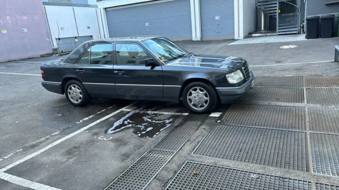 Mercedes-Benz Mercedes Benz W 124 220