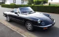 Alfa Romeo Spider -  Kult auf der Starße 
